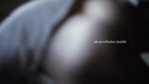 A blurry, edited photograph of round pale objects and blueish cloth. Letters in a curvy white font read, "an acrobatics inside".